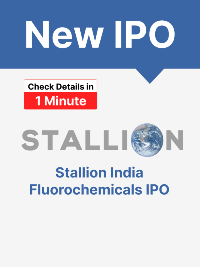 Stallion India IPO Details